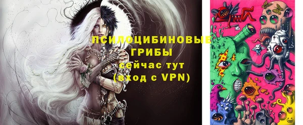 ПСИЛОЦИБИНОВЫЕ ГРИБЫ Алексеевка