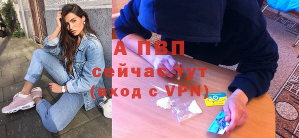 гашик Дмитров