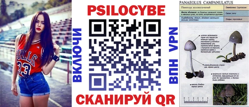Псилоцибиновые грибы MAGIC MUSHROOMS Кола