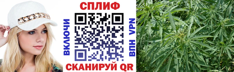 как найти закладки  Кола  гидра рабочий сайт  Бошки марихуана MAZAR 